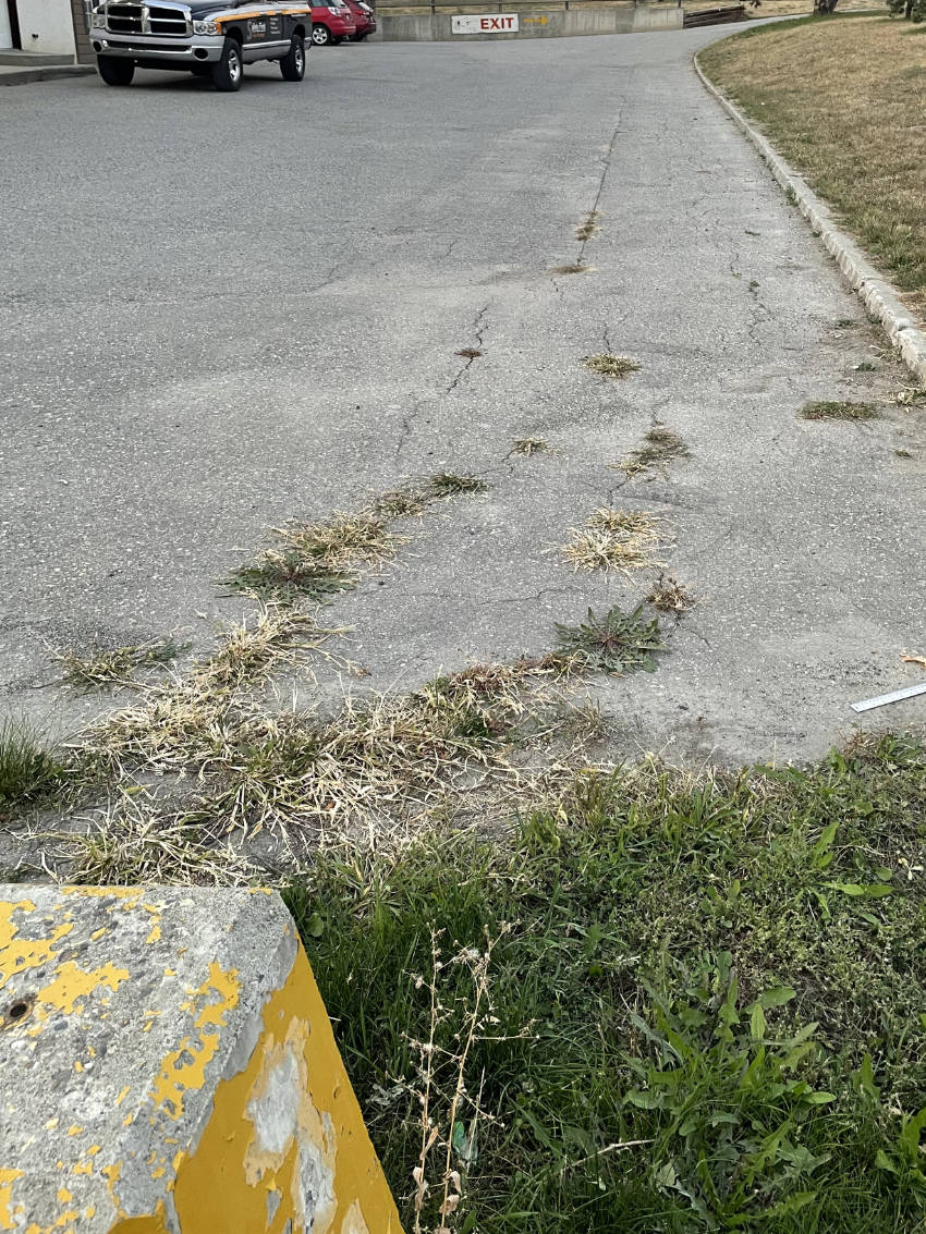 Safety First Line Painting Grass And Weeds Removal